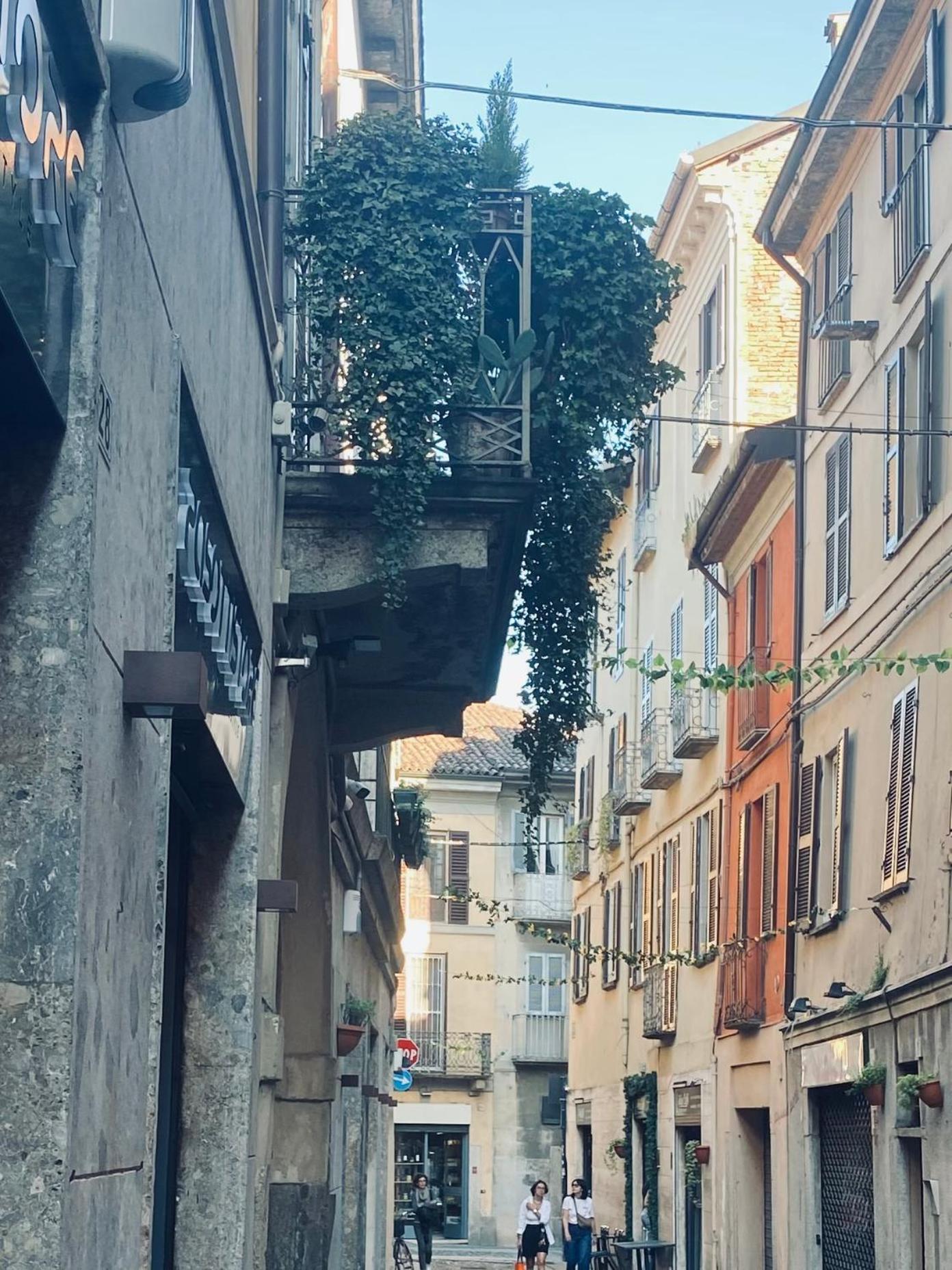 Wanderlust Splendido Appartamento In Centro 帕维亚 外观 照片
